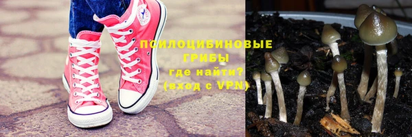 эйфоретик Михайловск