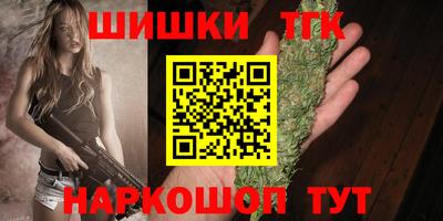 стаф Гусев