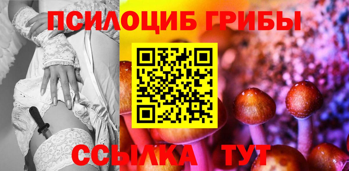 Галлюциногенные грибы мухоморы Петропавловск-Камчатский