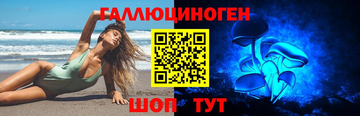 Псилоцибиновые грибы MAGIC MUSHROOMS  Вход с VPN  где продают наркотики  Петропавловск-Камчатский 